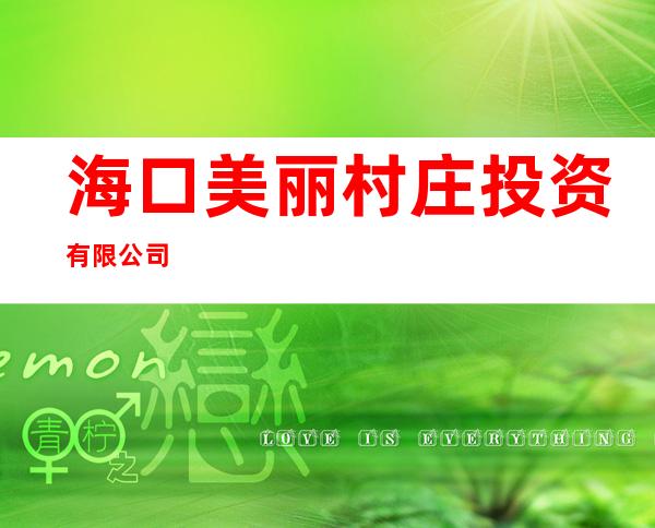 海口美丽村庄投资有限公司